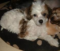 Lucky Line's Claim For Fame