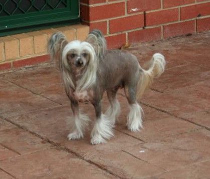 Blandora Sweet Breeze At Rebekia