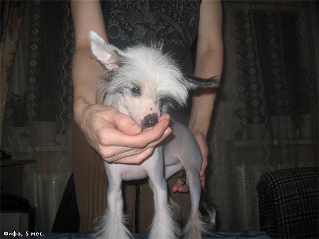 Picture