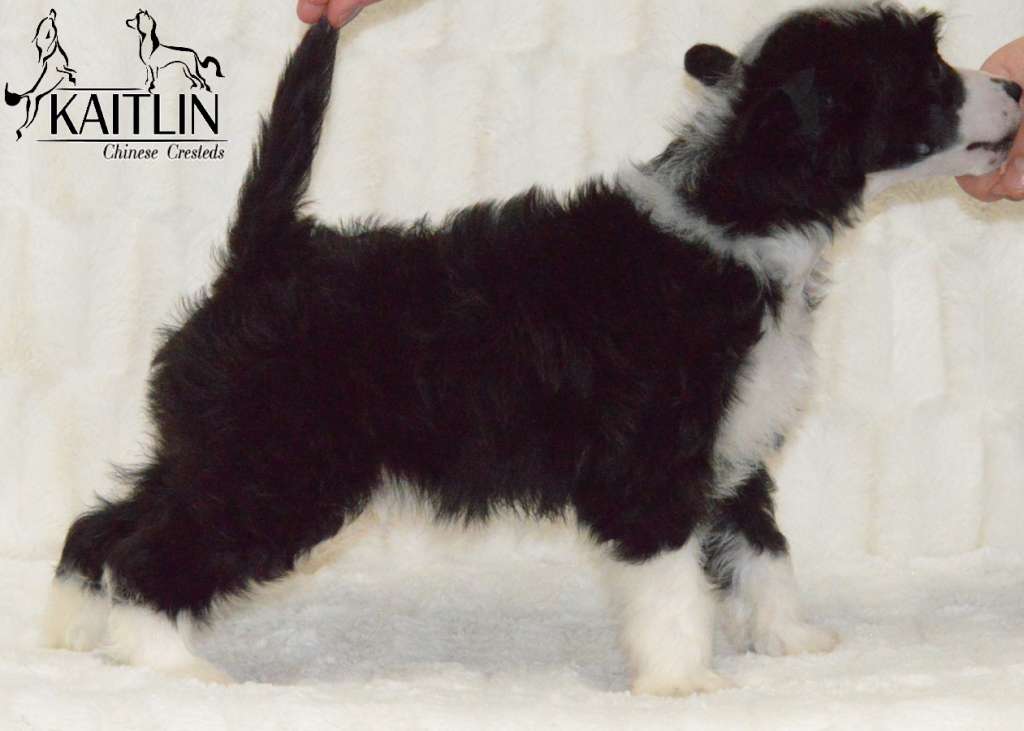 Kaitlin Anniversary Smarty Pants