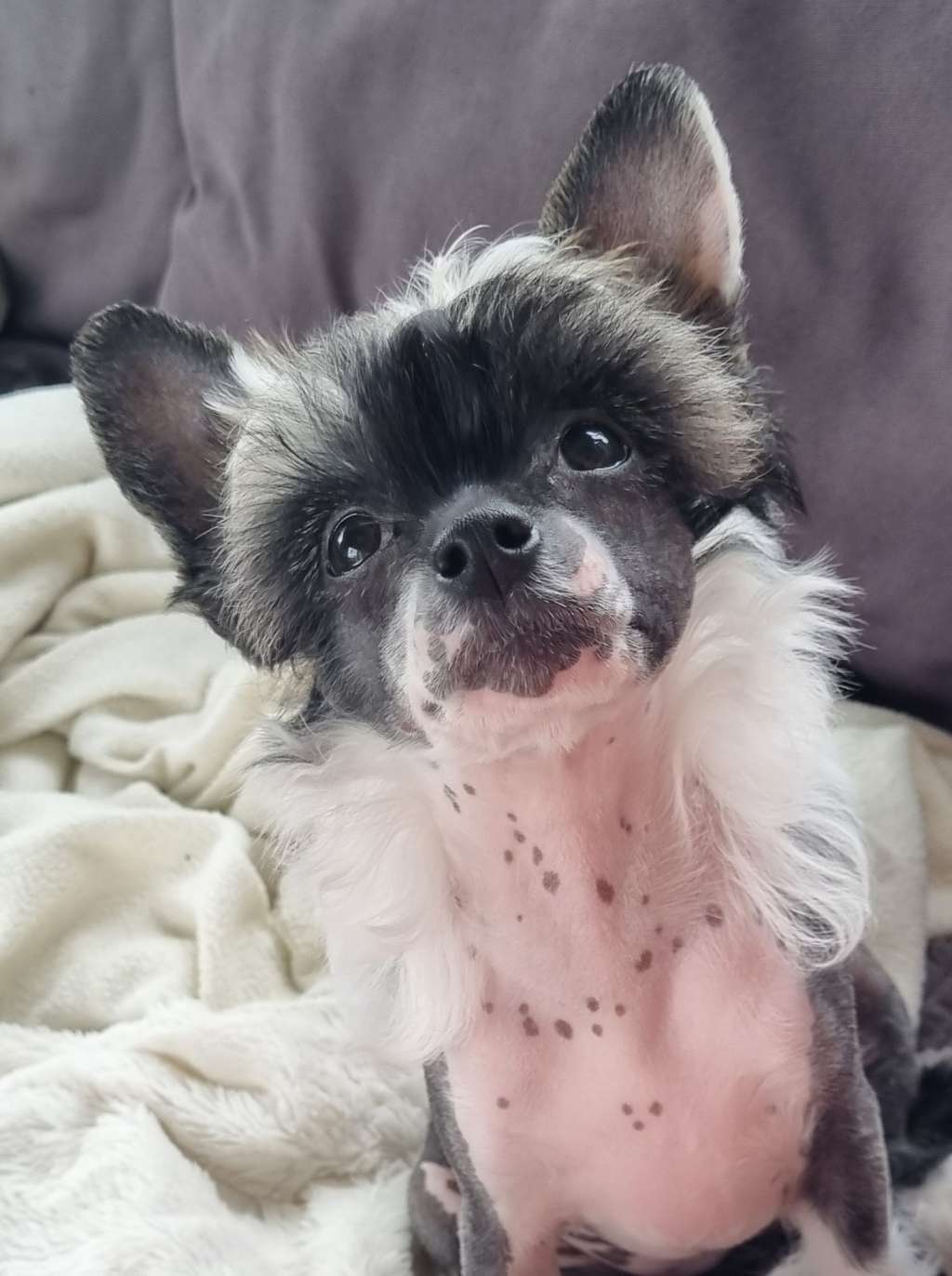 Epadalens Wind Of Change