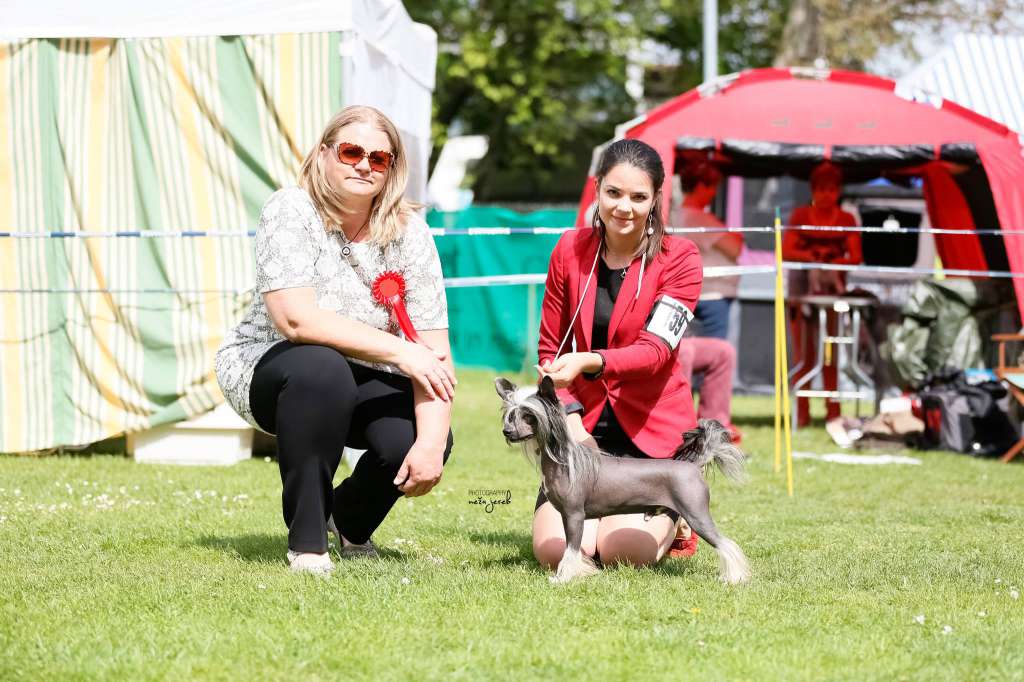 Vanitonia More Of That