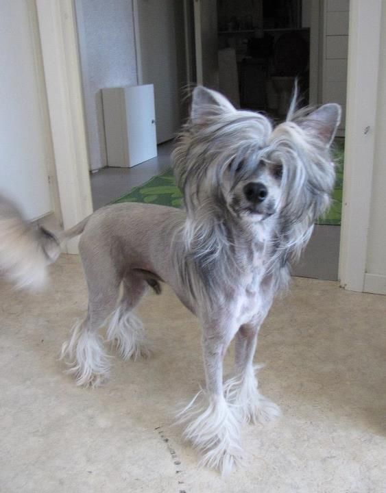 Amelion's Ringside Keep An I On Me