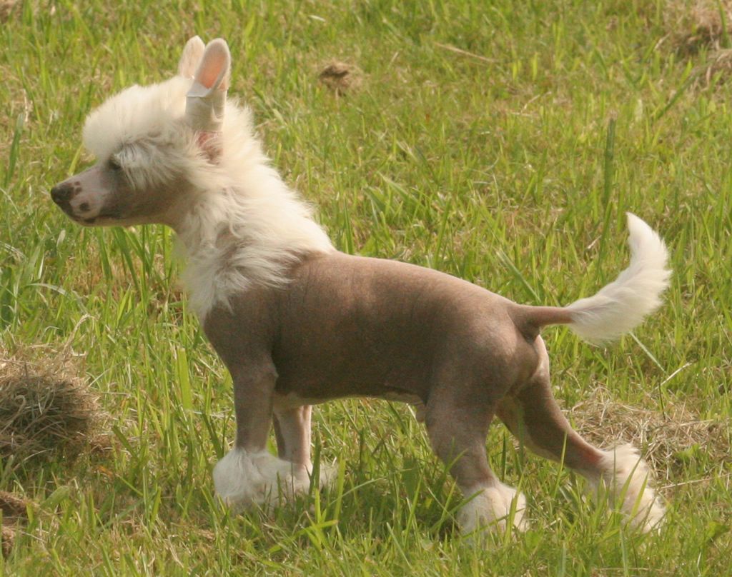 Walker clouds de Almamasan