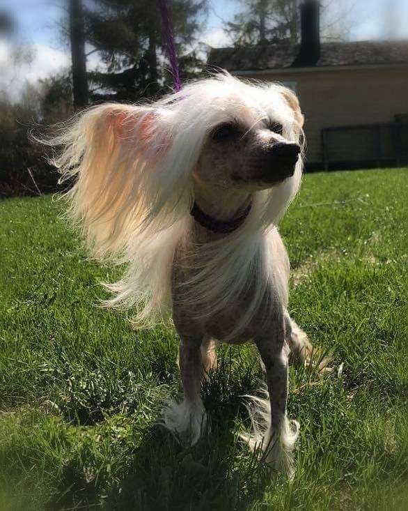 Joyway's The Love Of My Life