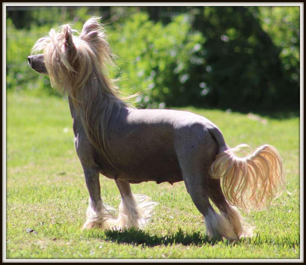 new fashion du pavé de varennes