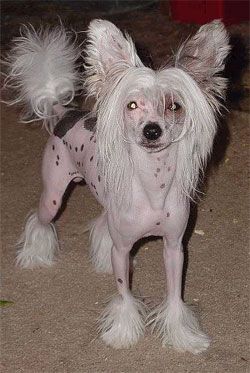 Woodlyn Heirloom Jewels