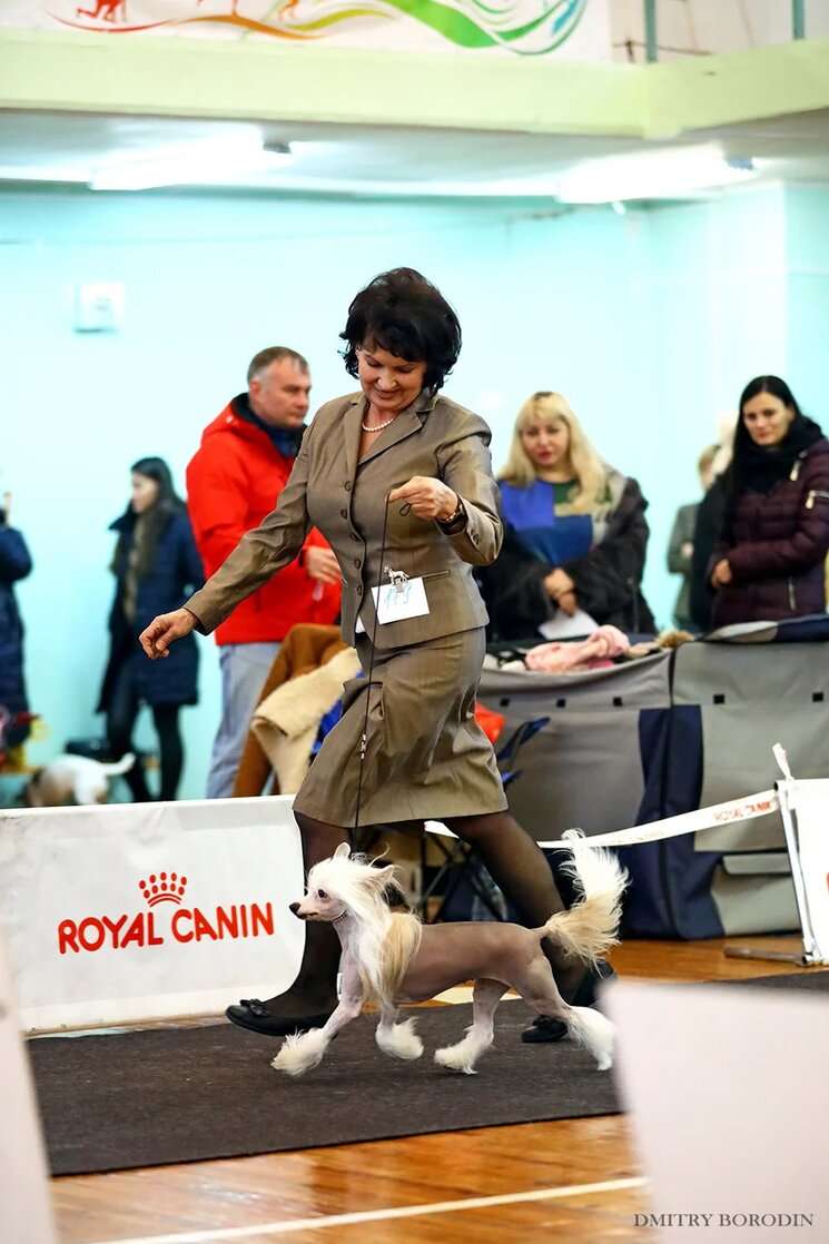 Kranar Les Alegrias de Mi Vida