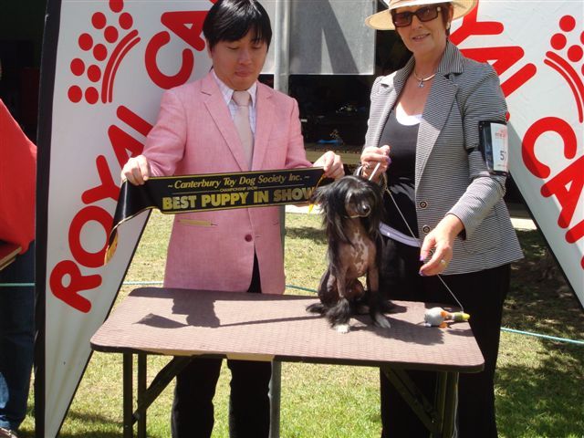 Koreke Ruamoko Earth Shaking With Vindora