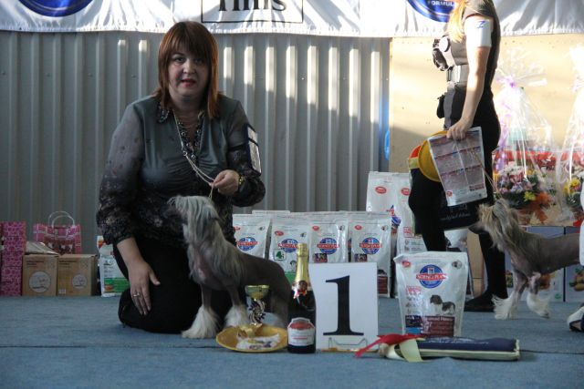 Galser  Primaliua Laurell