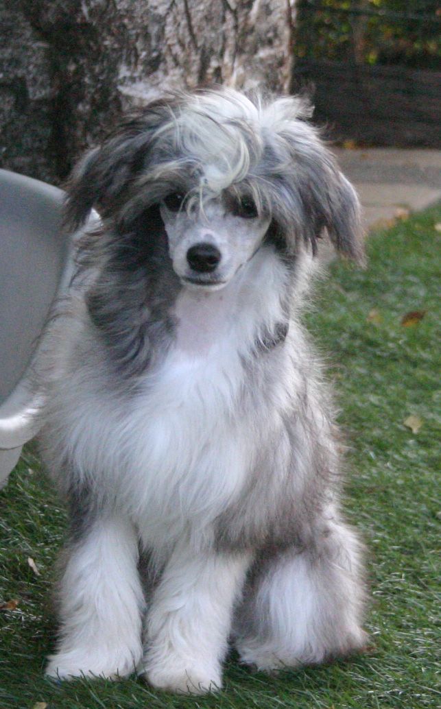 Happy Dancing It's Ineke