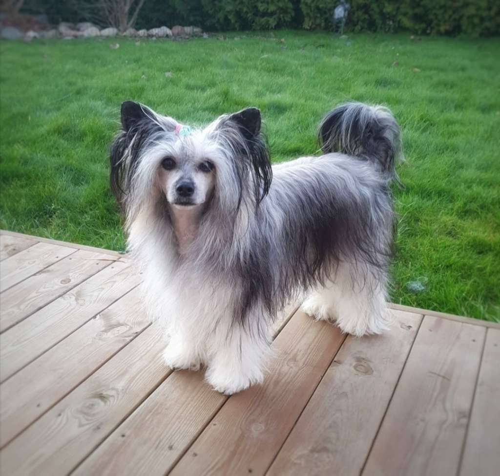 Picture