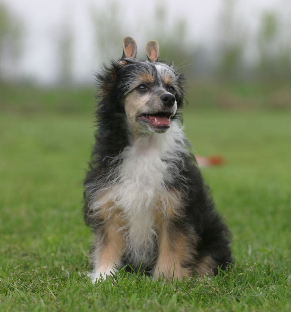 Happy Dancing Olympic O'neill