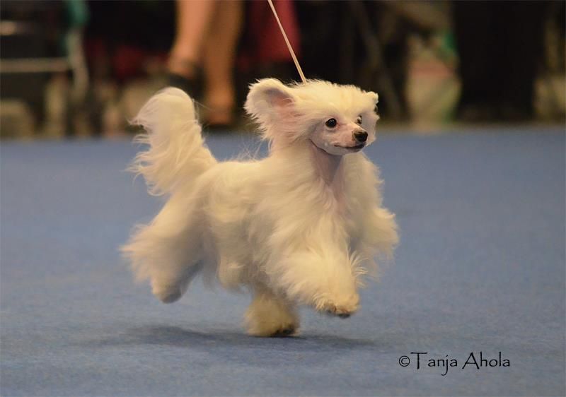 Valanyan Higher Fashion