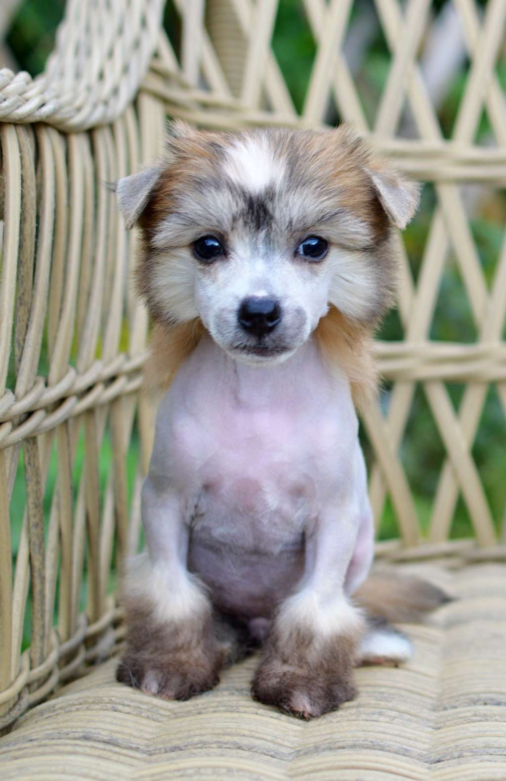 Tom Cruise z Andelovy dlane