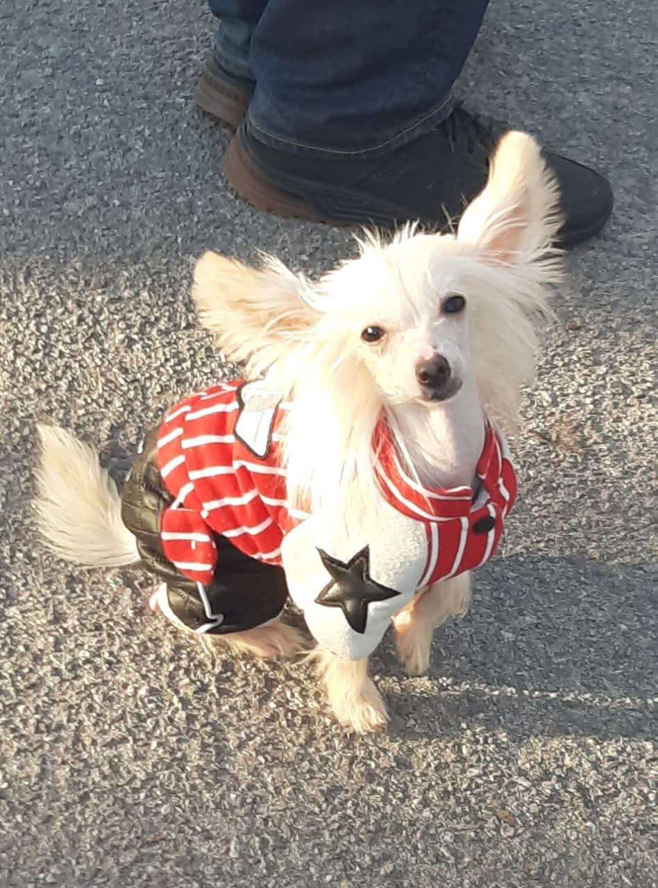 Magic of Success Ice Storm