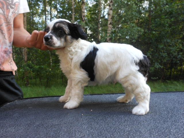 Magic'n Mystic Quick As Hell