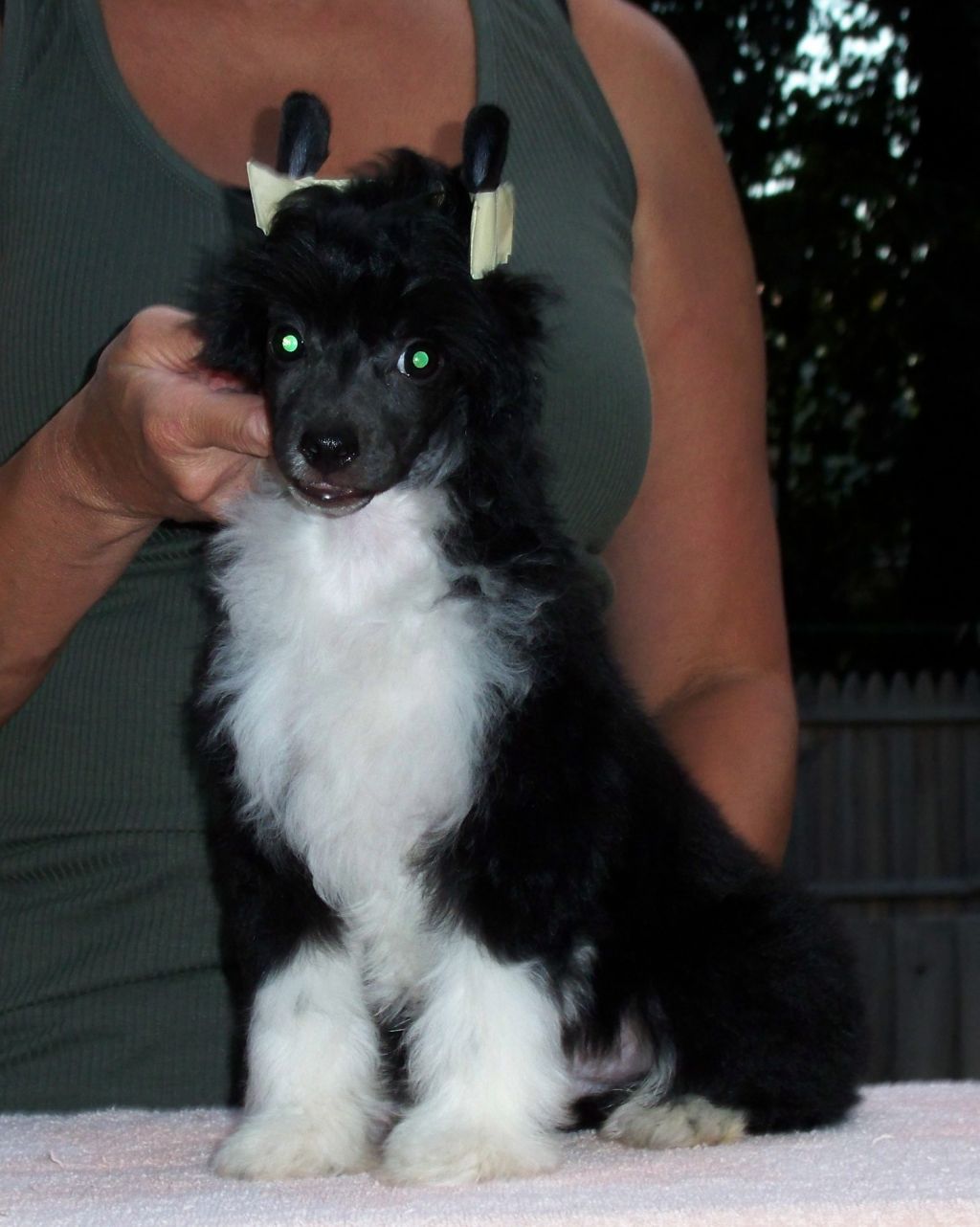 Wickhaven Sweet Sweet Heartkiller