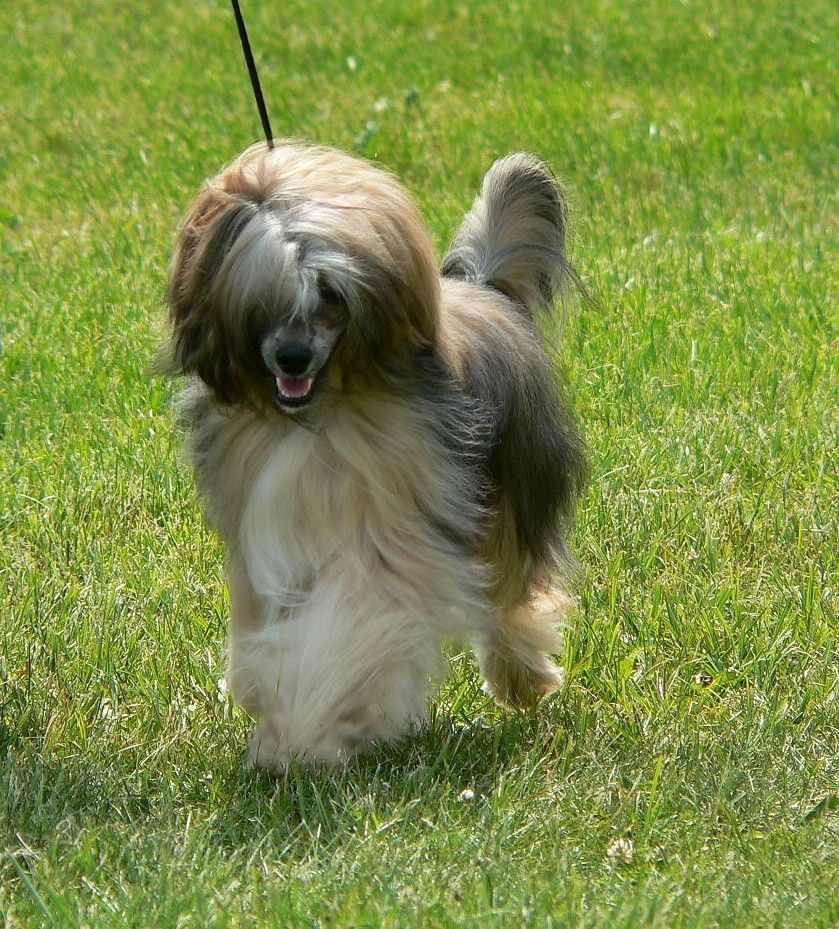 Rosini Capo Vaticano