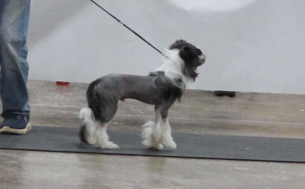 Gardine Thats How You Get Ants