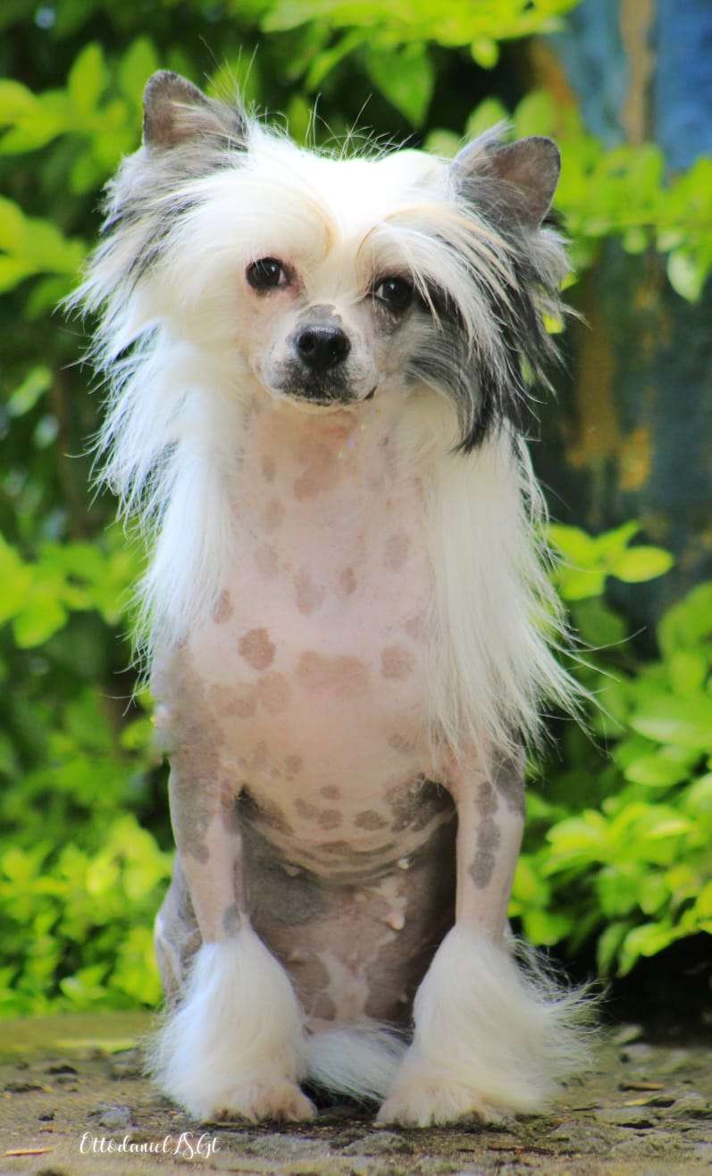 Chelai She is a Maniac