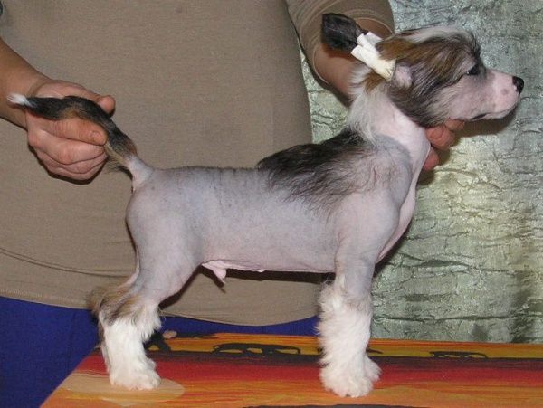 You Only You Sherman