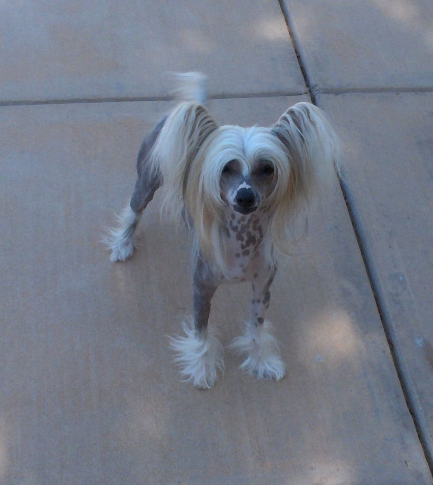 Jato Once Upon A Dream