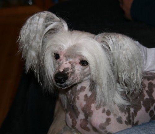 Maybell's Amazing Spirit