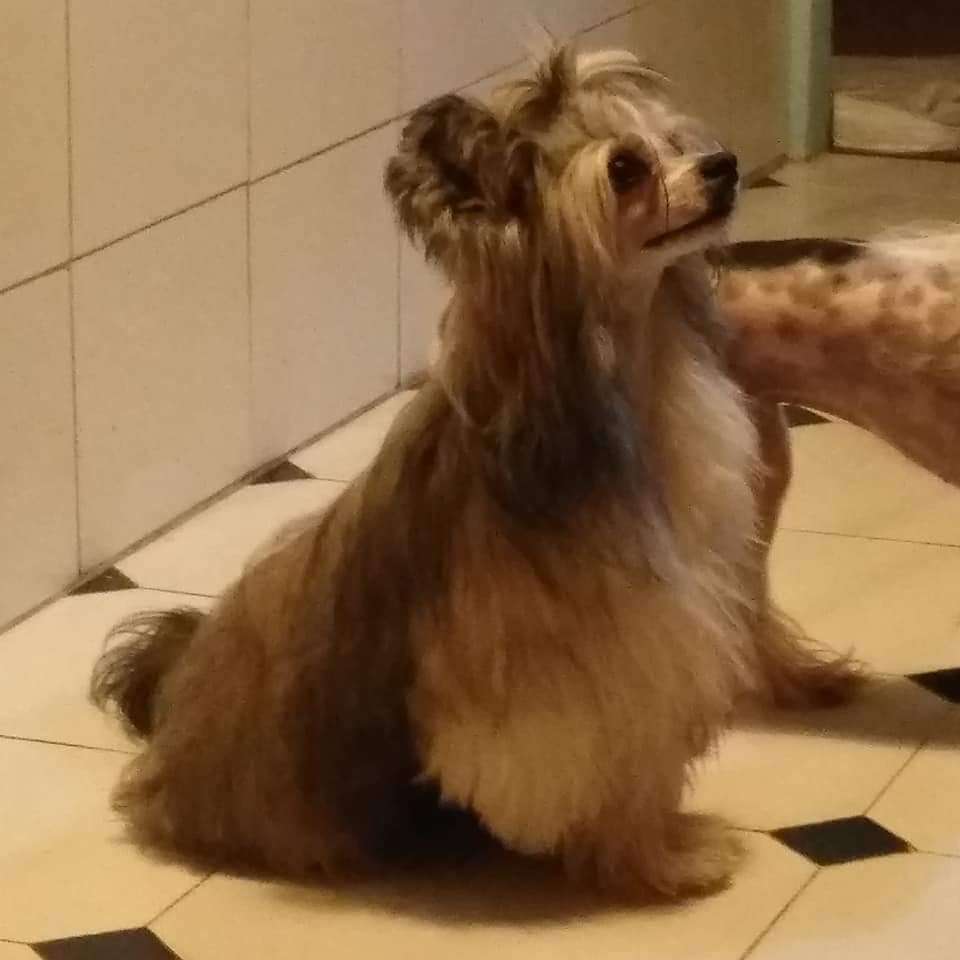 Magnus Staff Tim Canet