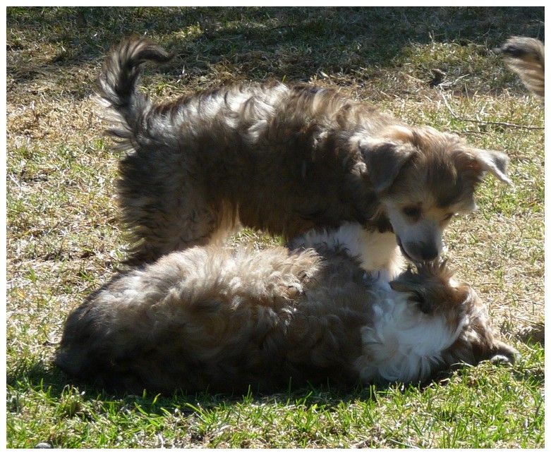 Breezy Brianna by Little Jade