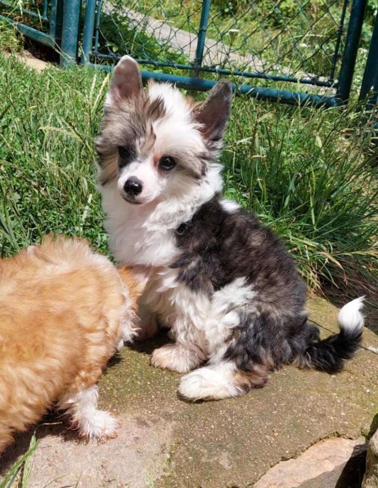 Yasmin Graace Cool Lady