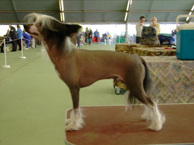 Picture