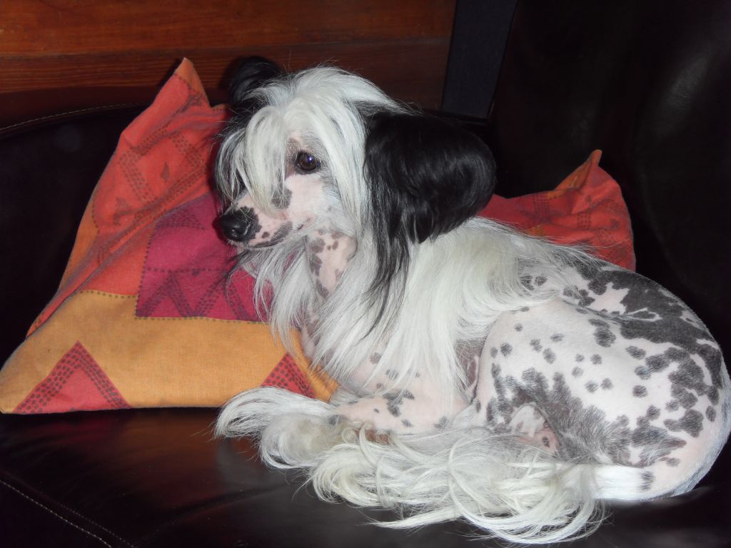 french kiss de la vierge dorée