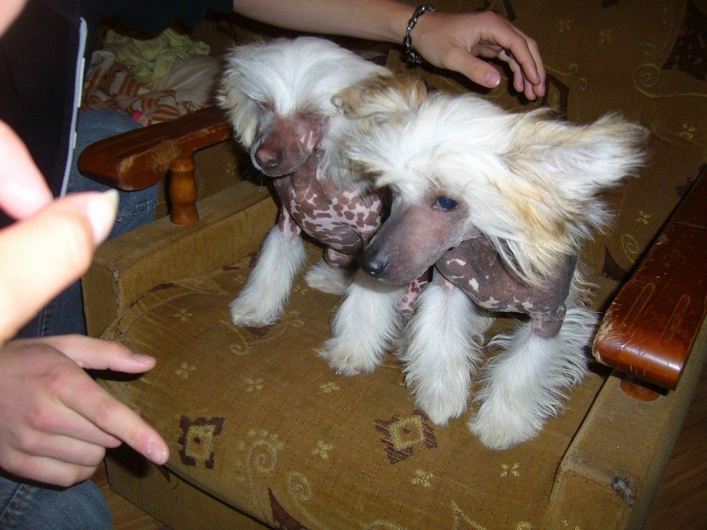 Aron Stone od Reky snu