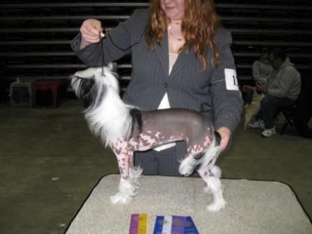 Juvani's Big Girls Don't Cry at MOA