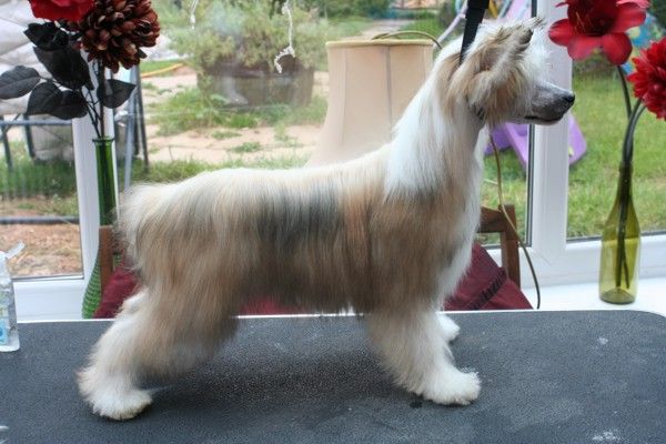 Mixkynz Giggle When You Talk