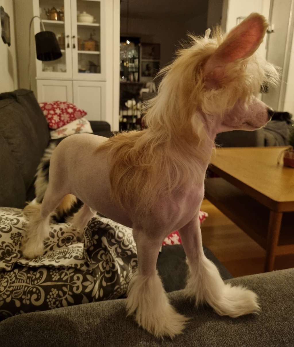 Epadalens Heavens' On Fire