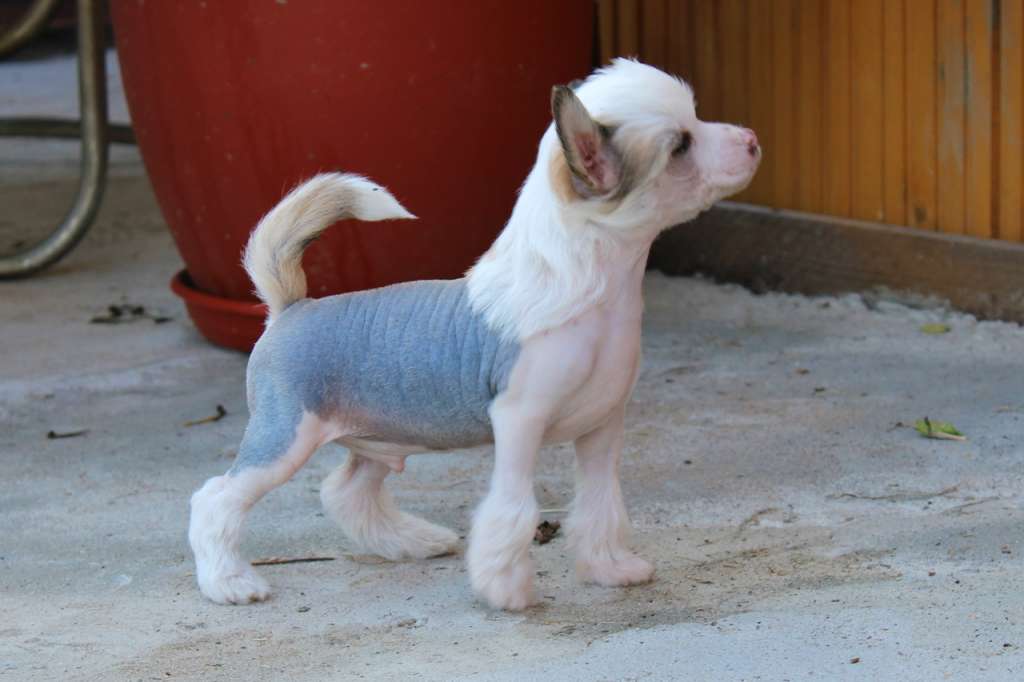 Absent Priyatnogo Vechera