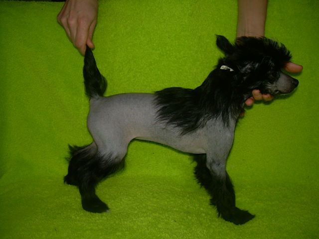 Picture