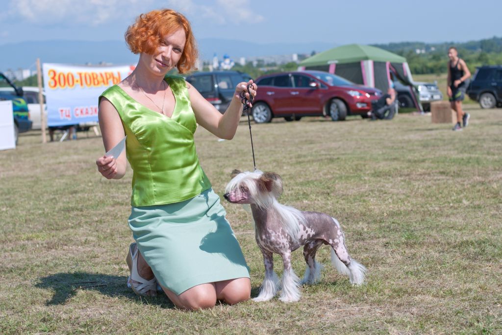 Picture