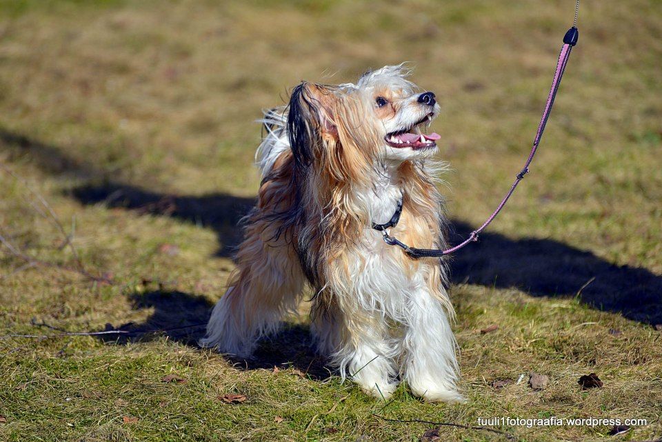 Rouber Balt  U-la-la