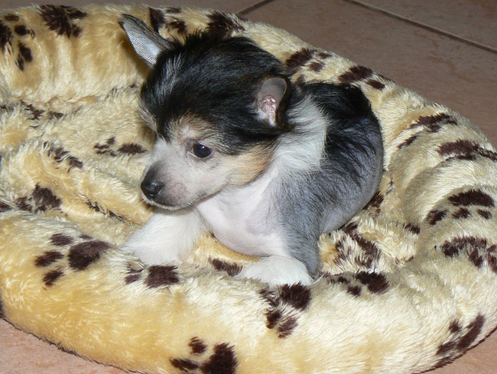 Picture
