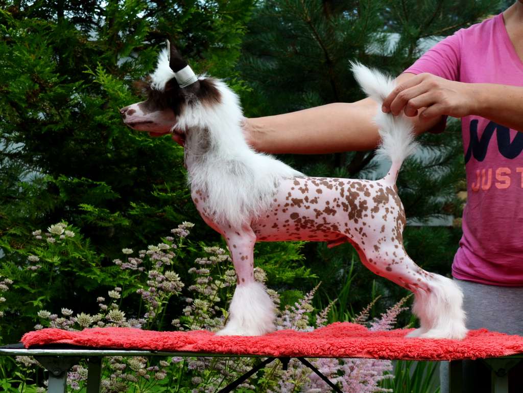 Etno Spirit Read A Riddle