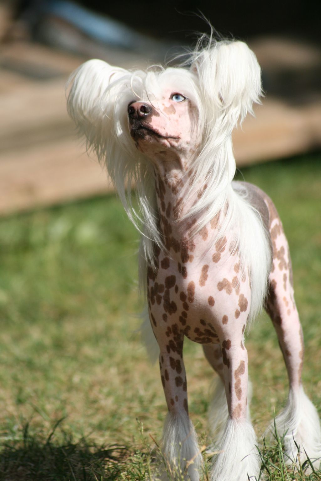 Dresscode-Zero Just Me