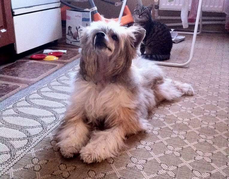 Sofiris Show Wild Wild West