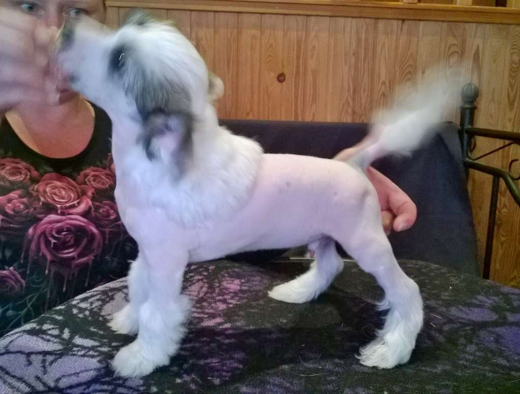 Stormblåstens Edge Of Sanity