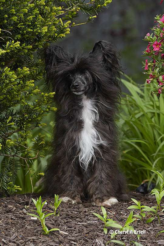 Creekside's Say My Name