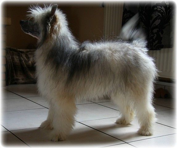 Hyukydj Of Sabichbyllbi of  Course