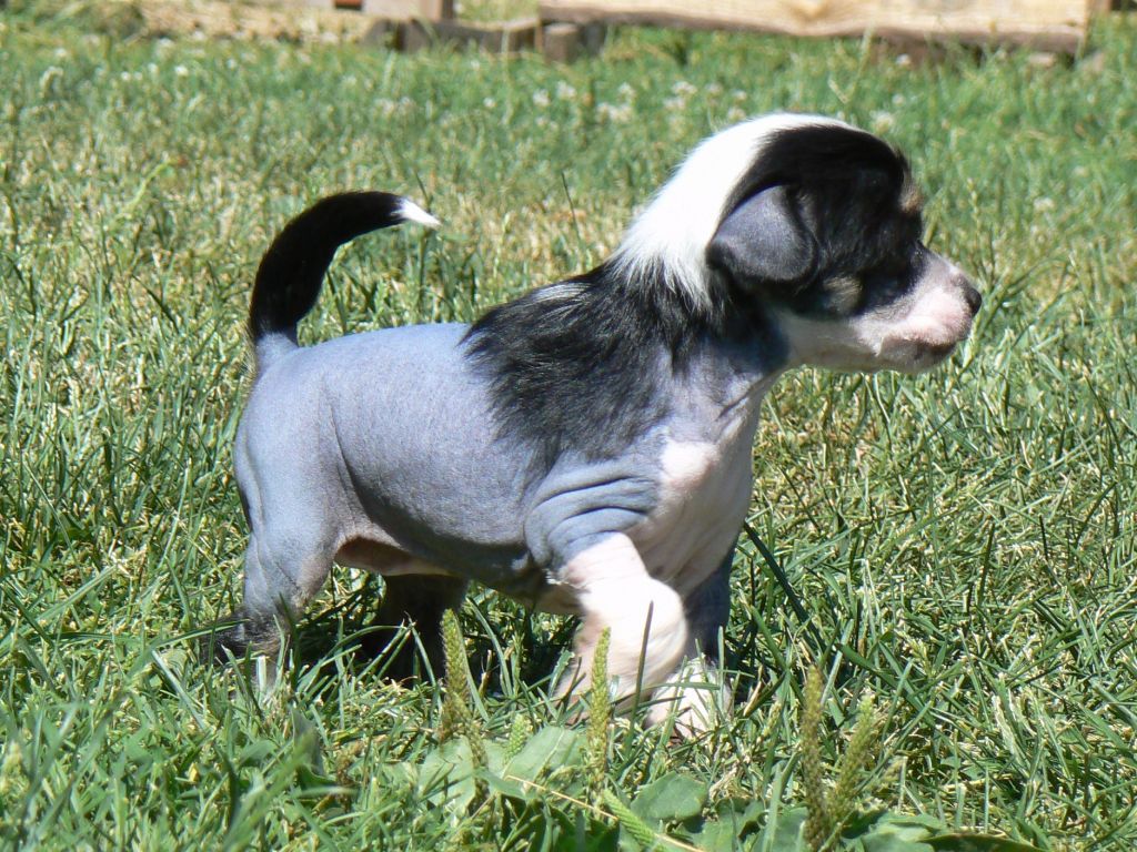 Picture