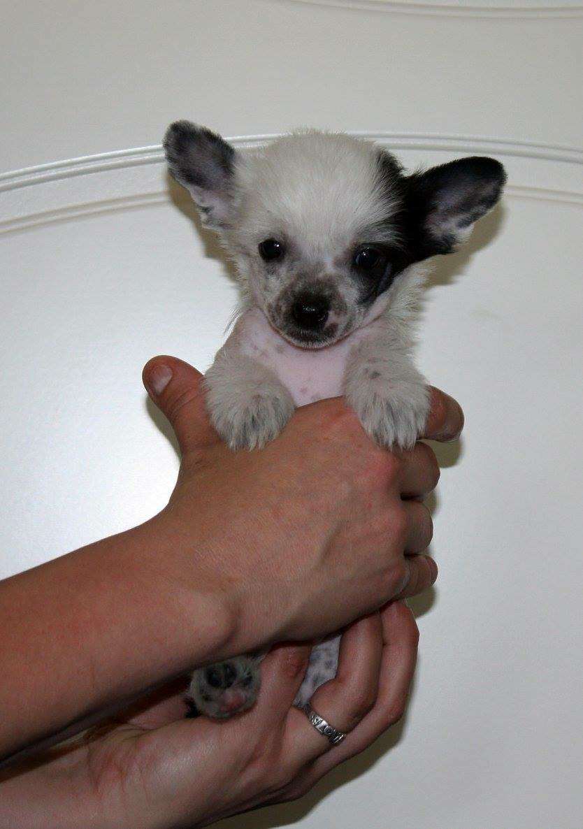 Viuvaun I Wanna Talk About Me